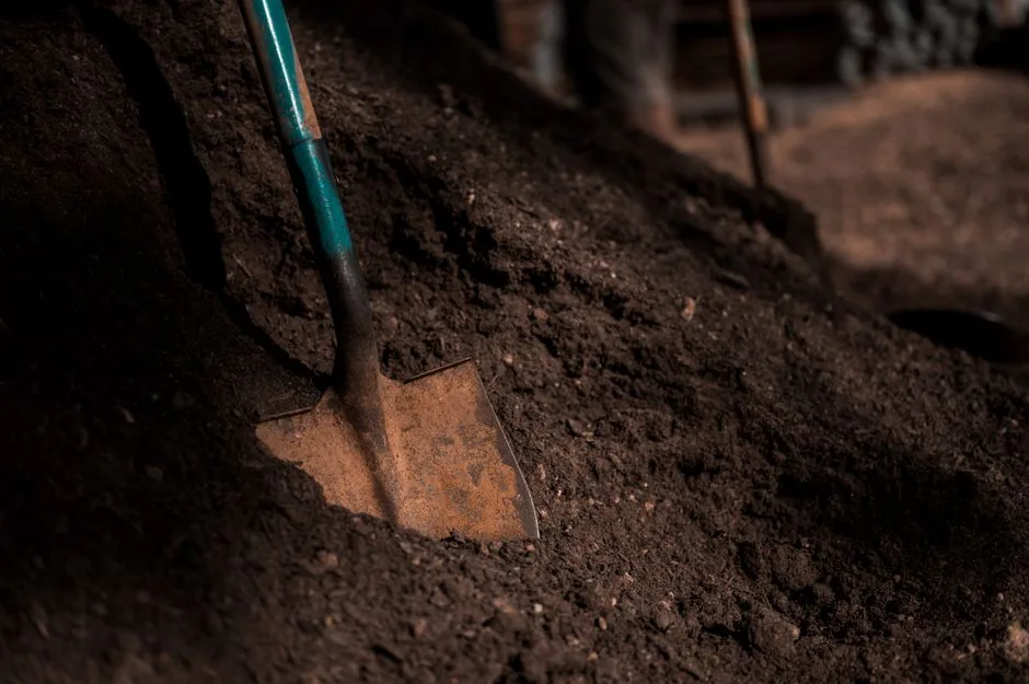 Pala incrustada en tierra oscura, mostrando textura y herramientas de jardinería.